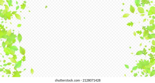 Leaves Falling. Spring Flying Foliage. Chaotic Green Leaf Flying On Transparent Background. Forest Design, Nature Elements. Ecology Vector Illustration. Environment Backdrop.