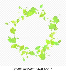 Leaves Falling. Spring Flying Foliage. Chaotic Green Leaf Flying On Transparent Background. Forest Design, Nature Elements. Ecology Vector Illustration. Environment Backdrop.