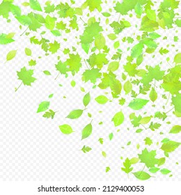 Leaves Falling. Spring Flying Foliage. Chaotic Green Leaf Flying On Transparent Background. Forest Design, Nature Elements. Ecology Vector Illustration. Environment Backdrop.