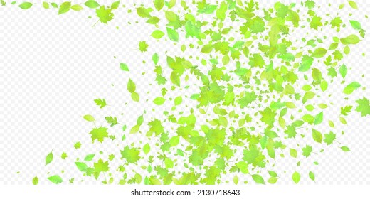 Leaves Falling. Spring Flying Foliage. Chaotic Green Leaf Flying On Transparent Background. Forest Design, Nature Elements. Ecology Vector Illustration. Environment Backdrop.