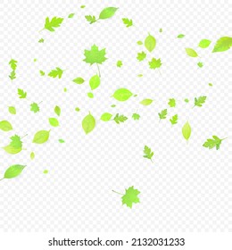 Leaves Falling. Spring Flying Foliage. Chaotic Green Leaf Flying On Transparent Background. Forest Design, Nature Elements. Ecology Vector Illustration. Environment Backdrop.