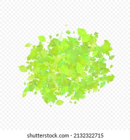 Leaves Falling. Spring Flying Foliage. Chaotic Green Leaf Flying On Transparent Background. Forest Design, Nature Elements. Ecology Vector Illustration. Environment Backdrop.