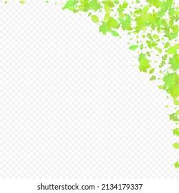 Leaves Falling. Spring Flying Foliage. Chaotic Green Leaf Flying On Transparent Background. Forest Design, Nature Elements. Ecology Vector Illustration. Environment Backdrop.