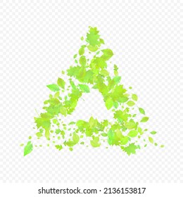 Leaves Falling. Spring Flying Foliage. Chaotic Green Leaf Flying On Transparent Background. Forest Design, Nature Elements. Ecology Vector Illustration. Environment Backdrop.