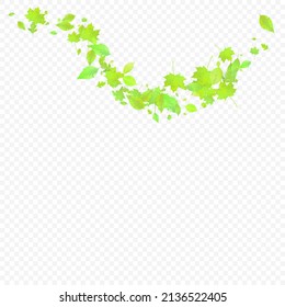 Leaves Falling. Spring Flying Foliage. Chaotic Green Leaf Flying On Transparent Background. Forest Design, Nature Elements. Ecology Vector Illustration. Environment Backdrop.