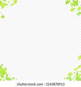 Leaves Falling. Spring Flying Foliage. Chaotic Green Leaf Flying On Transparent Background. Forest Design, Nature Elements. Ecology Vector Illustration. Environment Backdrop.