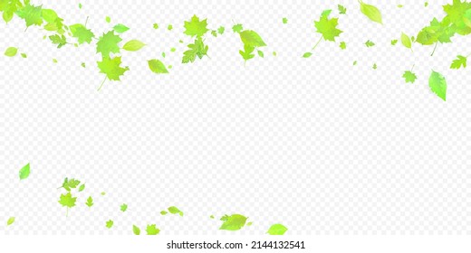 Leaves Falling. Spring Flying Foliage. Chaotic Green Leaf Flying On Transparent Background. Forest Design, Nature Elements. Ecology Vector Illustration. Environment Backdrop.