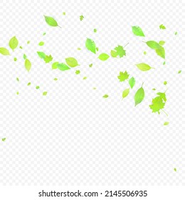 Leaves Falling. Spring Flying Foliage. Chaotic Green Leaf Flying On Transparent Background. Forest Design, Nature Elements. Ecology Vector Illustration. Environment Backdrop.