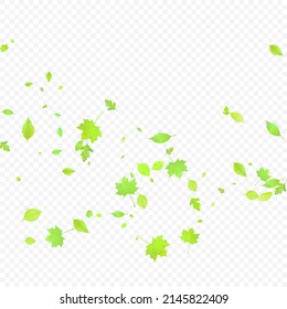 Leaves Falling. Spring Flying Foliage. Chaotic Green Leaf Flying On Transparent Background. Forest Design, Nature Elements. Ecology Vector Illustration. Environment Backdrop.