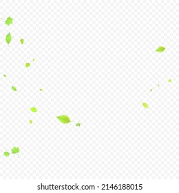 Leaves Falling. Spring Flying Foliage. Chaotic Green Leaf Flying On Transparent Background. Forest Design, Nature Elements. Ecology Vector Illustration. Environment Backdrop.
