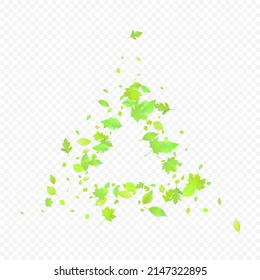 Leaves Falling. Spring Flying Foliage. Chaotic Green Leaf Flying On Transparent Background. Forest Design, Nature Elements. Ecology Vector Illustration. Environment Backdrop.