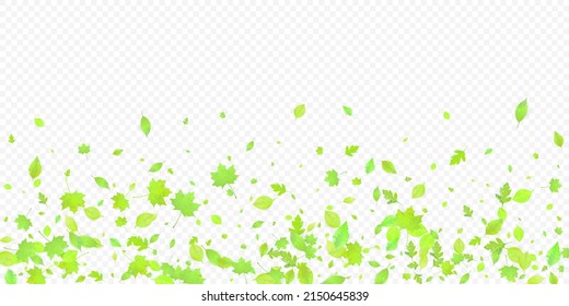 Leaves Falling. Spring Flying Foliage. Chaotic Green Leaf Flying On Transparent Background. Forest Design, Nature Elements. Ecology Vector Illustration. Environment Backdrop.