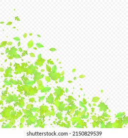Leaves Falling. Spring Flying Foliage. Chaotic Green Leaf Flying On Transparent Background. Forest Design, Nature Elements. Ecology Vector Illustration. Environment Backdrop.