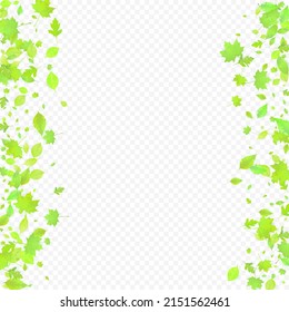 Leaves Falling. Spring Flying Foliage. Chaotic Green Leaf Flying On Transparent Background. Forest Design, Nature Elements. Ecology Vector Illustration. Environment Backdrop.