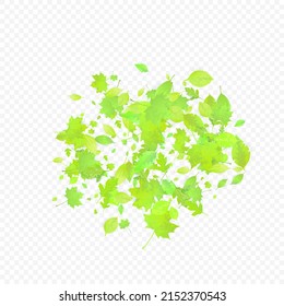 Leaves Falling. Spring Flying Foliage. Chaotic Green Leaf Flying On Transparent Background. Forest Design, Nature Elements. Ecology Vector Illustration. Environment Backdrop.