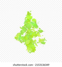 Leaves Falling. Spring Flying Foliage. Chaotic Green Leaf Flying On Transparent Background. Forest Design, Nature Elements. Ecology Vector Illustration. Environment Backdrop.