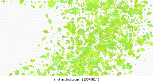 Leaves Falling. Spring Flying Foliage. Chaotic Green Leaf Flying On Transparent Background. Forest Design, Nature Elements. Ecology Vector Illustration. Environment Backdrop.