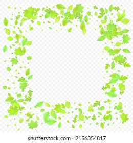 Leaves Falling. Spring Flying Foliage. Chaotic Green Leaf Flying On Transparent Background. Forest Design, Nature Elements. Ecology Vector Illustration. Environment Backdrop.