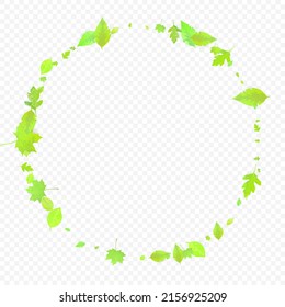 Leaves Falling. Spring Flying Foliage. Chaotic Green Leaf Flying On Transparent Background. Forest Design, Nature Elements. Ecology Vector Illustration. Environment Backdrop.