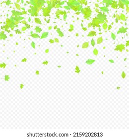Leaves Falling. Spring Flying Foliage. Chaotic Green Leaf Flying On Transparent Background. Forest Design, Nature Elements. Ecology Vector Illustration. Environment Backdrop.