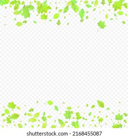 Leaves Falling. Spring Flying Foliage. Chaotic Green Leaf Flying On Transparent Background. Forest Design, Nature Elements. Ecology Vector Illustration. Environment Backdrop.