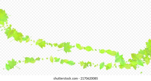 Leaves Falling. Spring Flying Foliage. Chaotic Green Leaf Flying On Transparent Background. Forest Design, Nature Elements. Ecology Vector Illustration. Environment Backdrop.