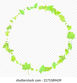 Leaves Falling. Spring Flying Foliage. Chaotic Green Leaf Flying On Transparent Background. Forest Design, Nature Elements. Ecology Vector Illustration. Environment Backdrop.
