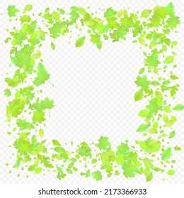 Leaves Falling. Spring Flying Foliage. Chaotic Green Leaf Flying On Transparent Background. Forest Design, Nature Elements. Ecology Vector Illustration. Environment Backdrop.