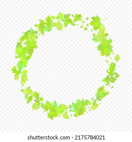 Leaves Falling. Spring Flying Foliage. Chaotic Green Leaf Flying On Transparent Background. Forest Design, Nature Elements. Ecology Vector Illustration. Environment Backdrop.