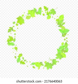 Leaves Falling. Spring Flying Foliage. Chaotic Green Leaf Flying On Transparent Background. Forest Design, Nature Elements. Ecology Vector Illustration. Environment Backdrop.