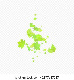 Leaves Falling. Spring Flying Foliage. Chaotic Green Leaf Flying On Transparent Background. Forest Design, Nature Elements. Ecology Vector Illustration. Environment Backdrop.