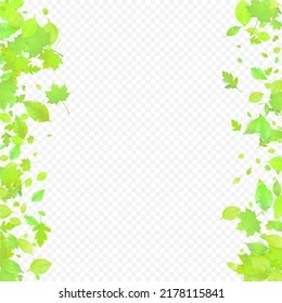 Leaves Falling. Spring Flying Foliage. Chaotic Green Leaf Flying On Transparent Background. Forest Design, Nature Elements. Ecology Vector Illustration. Environment Backdrop.