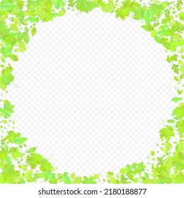 Leaves Falling. Spring Flying Foliage. Chaotic Green Leaf Flying On Transparent Background. Forest Design, Nature Elements. Ecology Vector Illustration. Environment Backdrop.