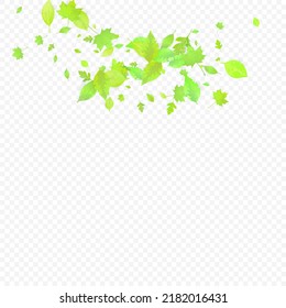 Leaves Falling. Spring Flying Foliage. Chaotic Green Leaf Flying On Transparent Background. Forest Design, Nature Elements. Ecology Vector Illustration. Environment Backdrop.