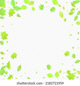 Leaves Falling. Spring Flying Foliage. Chaotic Green Leaf Flying On Transparent Background. Forest Design, Nature Elements. Ecology Vector Illustration. Environment Backdrop.