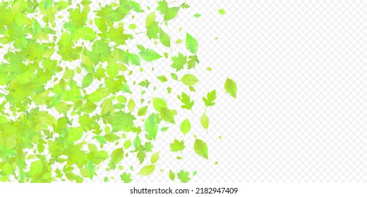 Leaves Falling. Spring Flying Foliage. Chaotic Green Leaf Flying On Transparent Background. Forest Design, Nature Elements. Ecology Vector Illustration. Environment Backdrop.