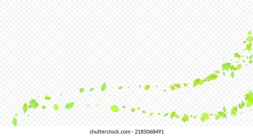 Leaves Falling. Spring Flying Foliage. Chaotic Green Leaf Flying On Transparent Background. Forest Design, Nature Elements. Ecology Vector Illustration. Environment Backdrop.