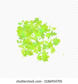 Leaves Falling. Spring Flying Foliage. Chaotic Green Leaf Flying On Transparent Background. Forest Design, Nature Elements. Ecology Vector Illustration. Environment Backdrop.