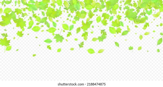 Leaves Falling. Spring Flying Foliage. Chaotic Green Leaf Flying On Transparent Background. Forest Design, Nature Elements. Ecology Vector Illustration. Environment Backdrop.