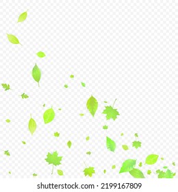 Leaves Falling. Spring Flying Foliage. Chaotic Green Leaf Flying On Transparent Background. Forest Design, Nature Elements. Ecology Vector Illustration. Environment Backdrop.
