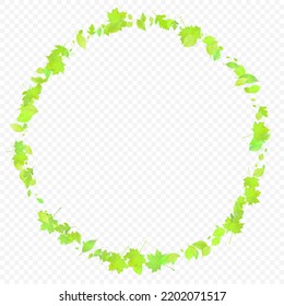 Leaves Falling. Spring Flying Foliage. Chaotic Green Leaf Flying On Transparent Background. Forest Design, Nature Elements. Ecology Vector Illustration. Environment Backdrop.