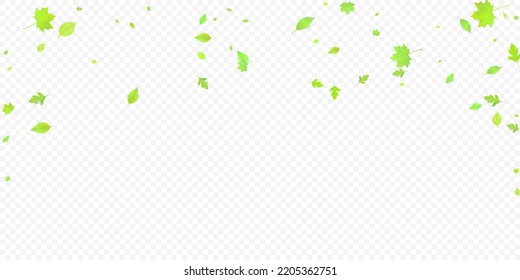 Leaves Falling. Spring Flying Foliage. Chaotic Green Leaf Flying On Transparent Background. Forest Design, Nature Elements. Ecology Vector Illustration. Environment Backdrop.