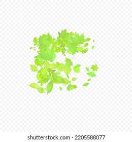 Leaves Falling. Spring Flying Foliage. Chaotic Green Leaf Flying On Transparent Background. Forest Design, Nature Elements. Ecology Vector Illustration. Environment Backdrop.