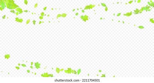 Leaves Falling. Spring Flying Foliage. Chaotic Green Leaf Flying On Transparent Background. Forest Design, Nature Elements. Ecology Vector Illustration. Environment Backdrop.