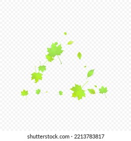 Leaves Falling. Spring Flying Foliage. Chaotic Green Leaf Flying On Transparent Background. Forest Design, Nature Elements. Ecology Vector Illustration. Environment Backdrop.