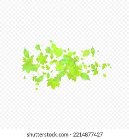 Leaves Falling. Spring Flying Foliage. Chaotic Green Leaf Flying On Transparent Background. Forest Design, Nature Elements. Ecology Vector Illustration. Environment Backdrop.