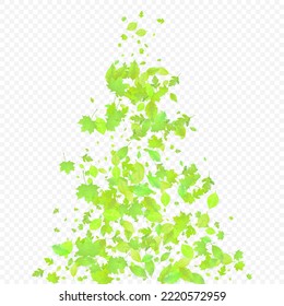 Leaves Falling. Spring Flying Foliage. Chaotic Green Leaf Flying On Transparent Background. Forest Design, Nature Elements. Ecology Vector Illustration. Environment Backdrop.