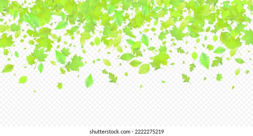 Leaves Falling. Spring Flying Foliage. Chaotic Green Leaf Flying On Transparent Background. Forest Design, Nature Elements. Ecology Vector Illustration. Environment Backdrop.