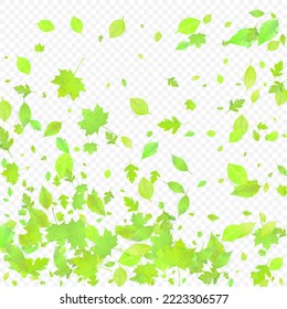 Leaves Falling. Spring Flying Foliage. Chaotic Green Leaf Flying On Transparent Background. Forest Design, Nature Elements. Ecology Vector Illustration. Environment Backdrop.