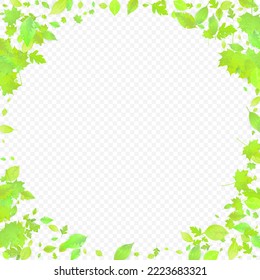 Leaves Falling. Spring Flying Foliage. Chaotic Green Leaf Flying On Transparent Background. Forest Design, Nature Elements. Ecology Vector Illustration. Environment Backdrop.